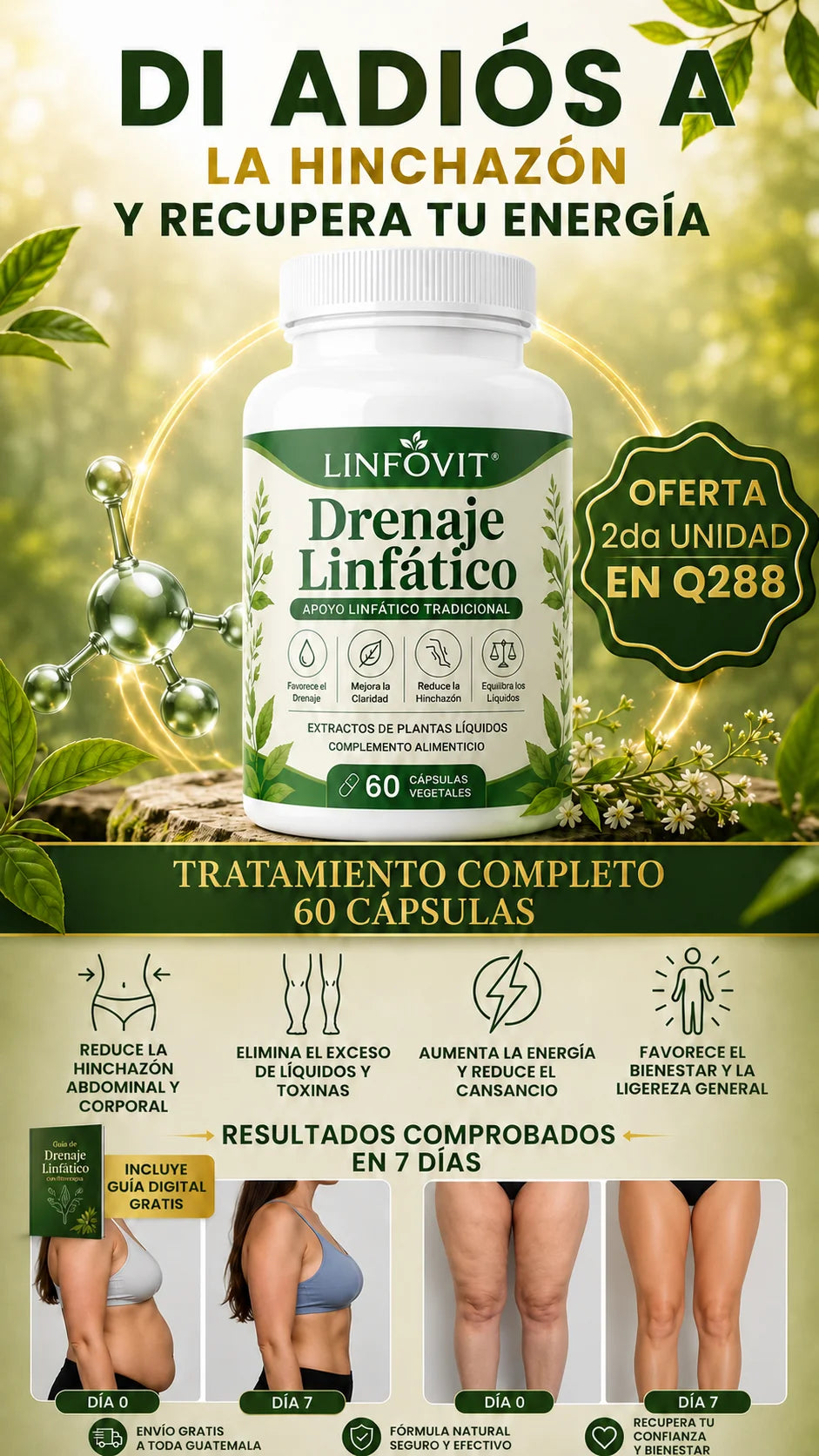 Linfovit